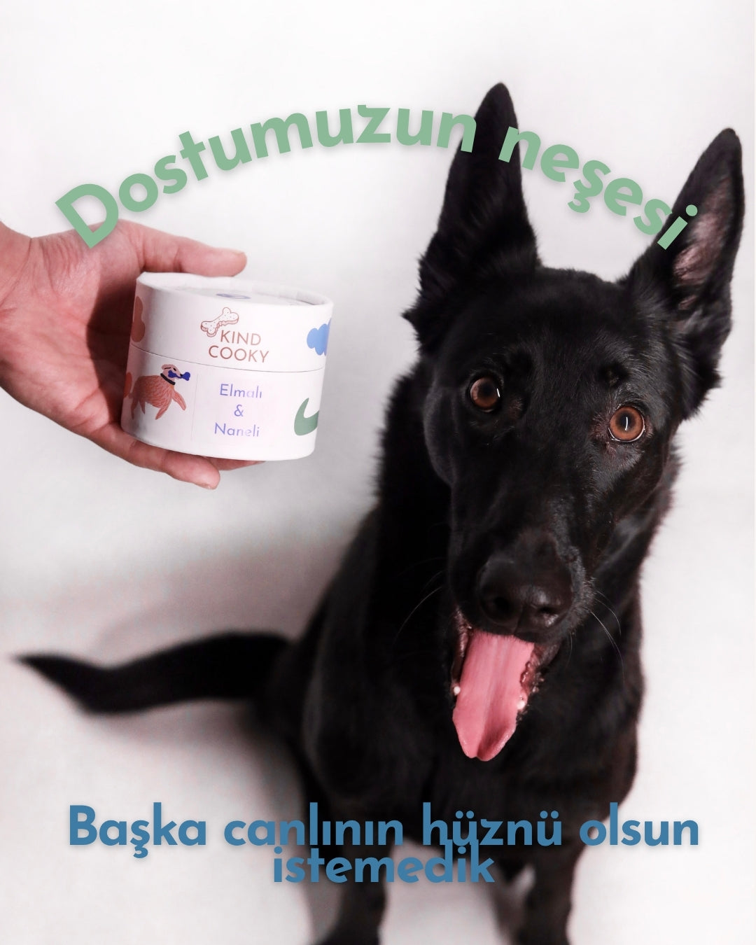 HAV-RİKA İKİLİ IŞILTILI TÜYLER & MİS NEFES