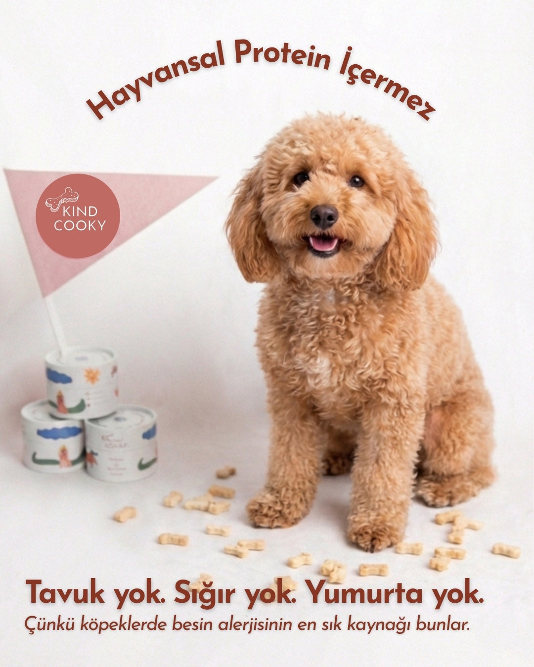 HAV-RİKA İKİLİ - MİS NEFES & EĞİTİM YAKITI