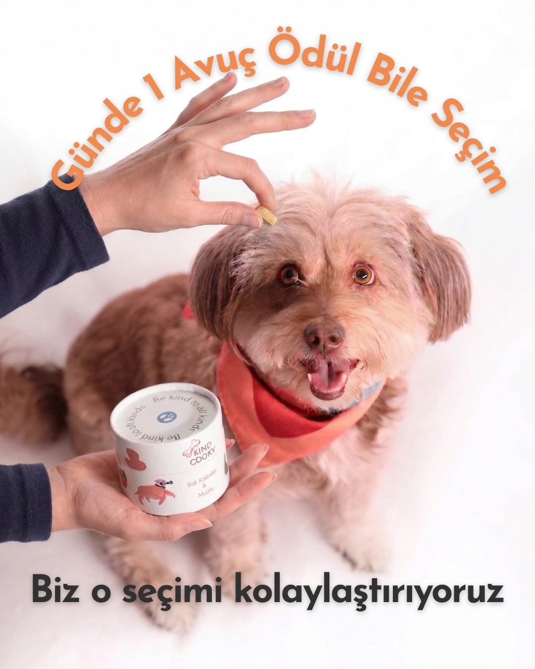 HAV-RİKA İKİLİ IŞILTILI TÜYLER + EĞİTİM YAKITI