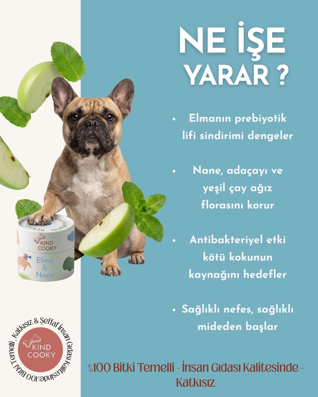 MİS NEFES