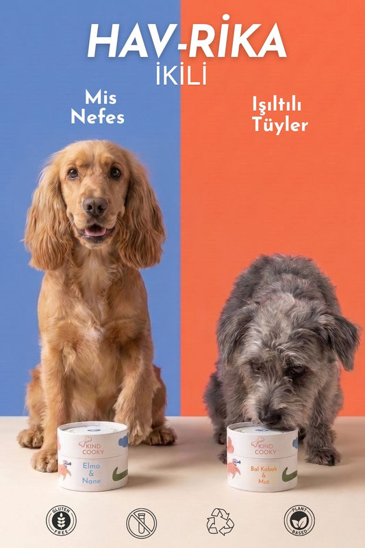 HAV-RİKA İKİLİ IŞILTILI TÜYLER & MİS NEFES