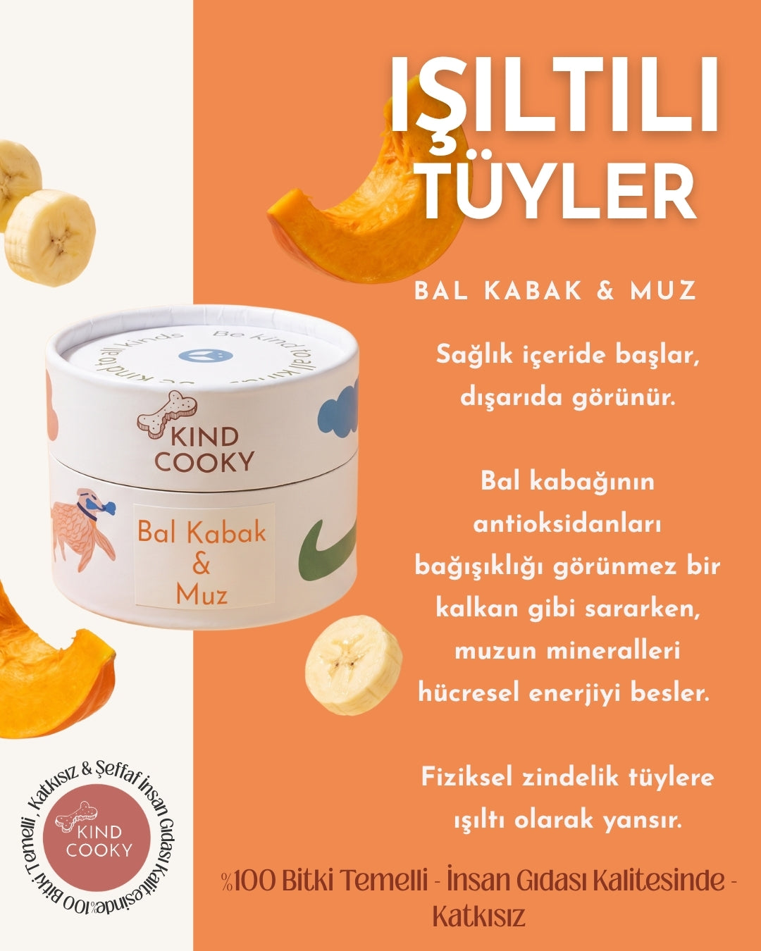 HAV-RİKA İKİLİ IŞILTILI TÜYLER + EĞİTİM YAKITI