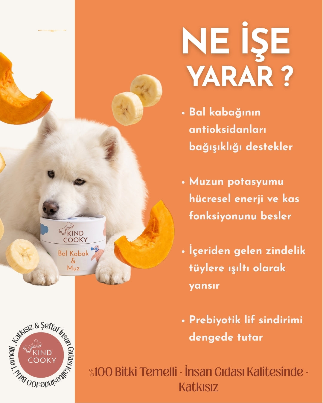 IŞILTILI TÜYLER