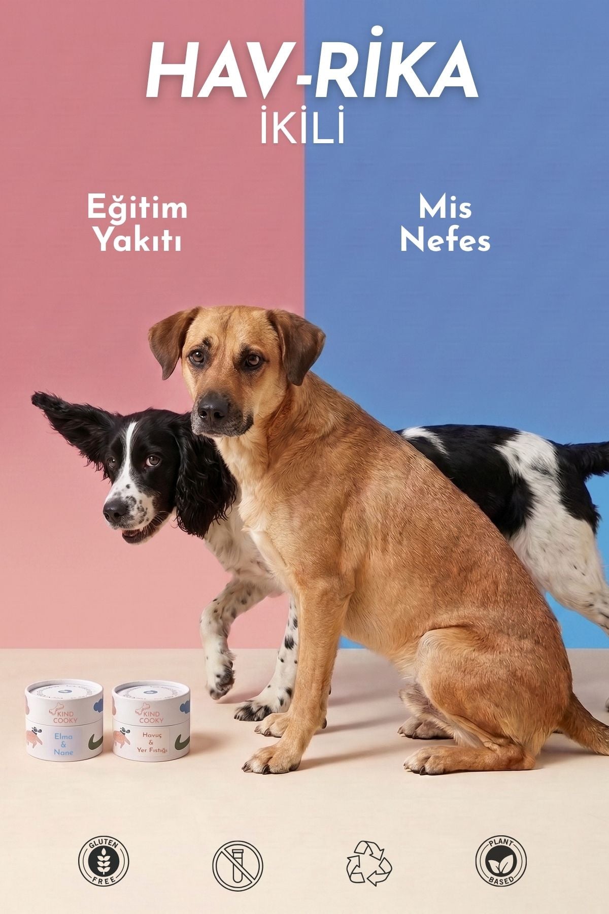 HAV-RİKA İKİLİ - MİS NEFES & EĞİTİM YAKITI