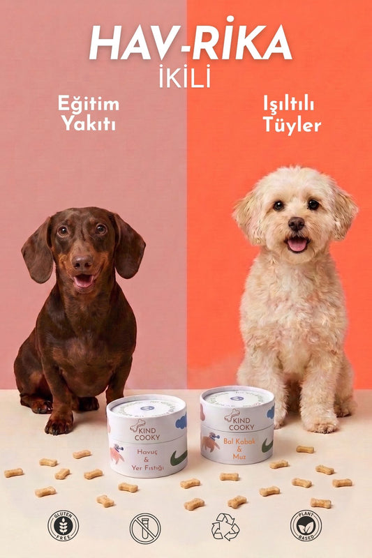 HAV-RİKA İKİLİ IŞILTILI TÜYLER + EĞİTİM YAKITI