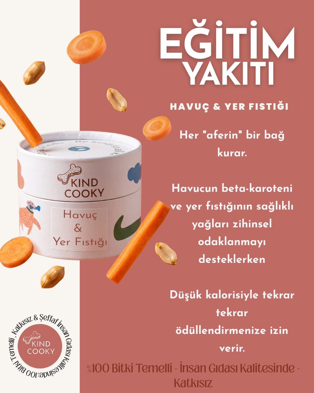 EĞİTİM YAKITI