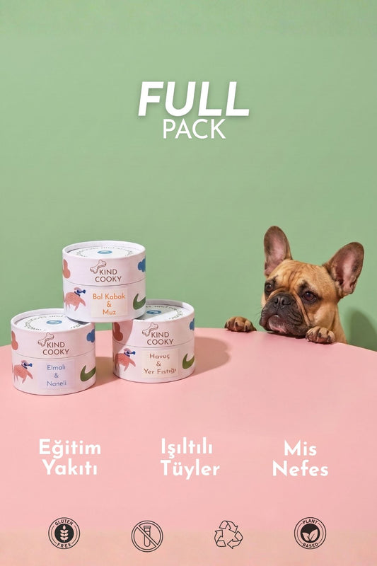 FULL PACK - MİS NEFES - IŞILTILI TÜYLER - EĞİTİM YAKITI
