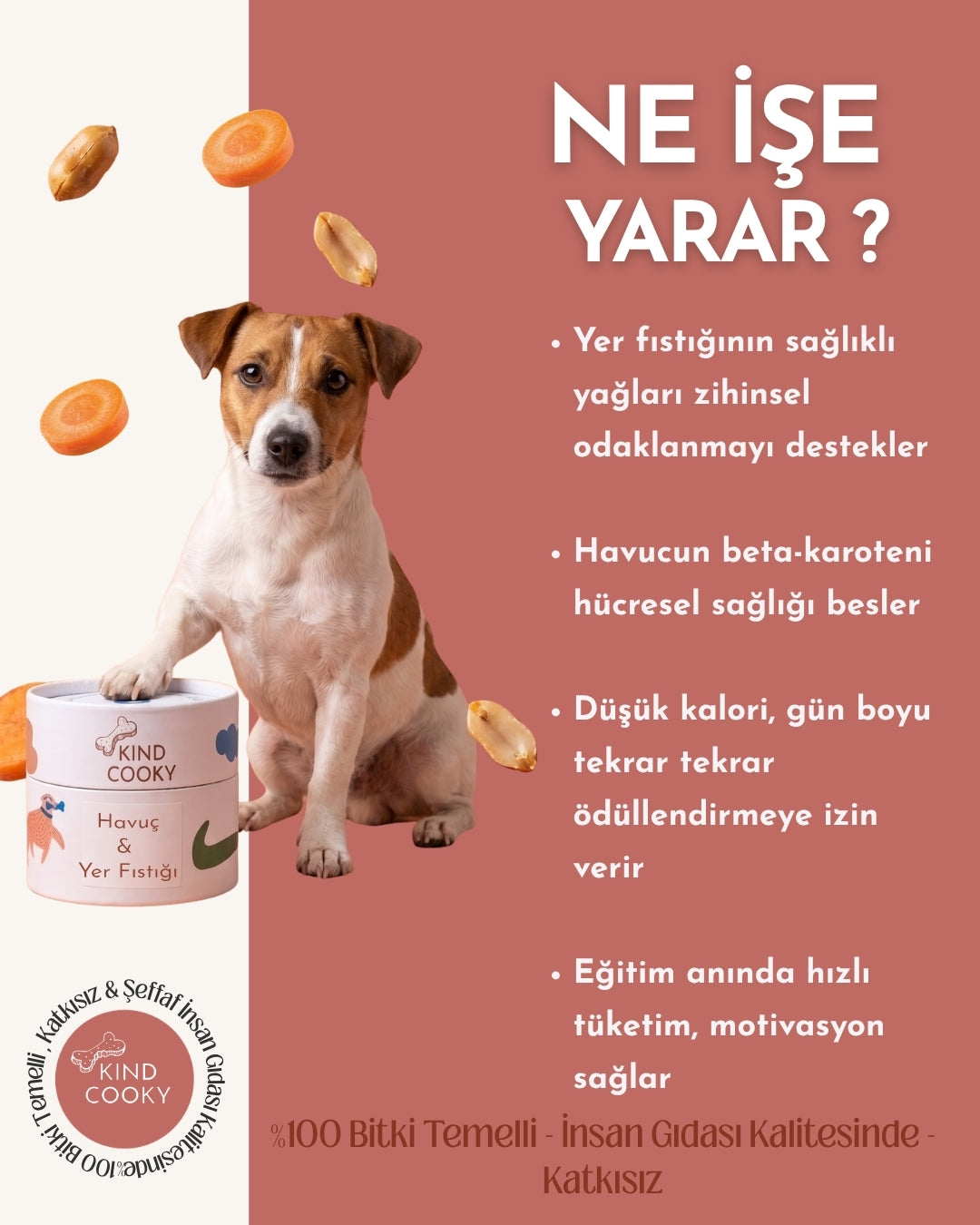 EĞİTİM YAKITI